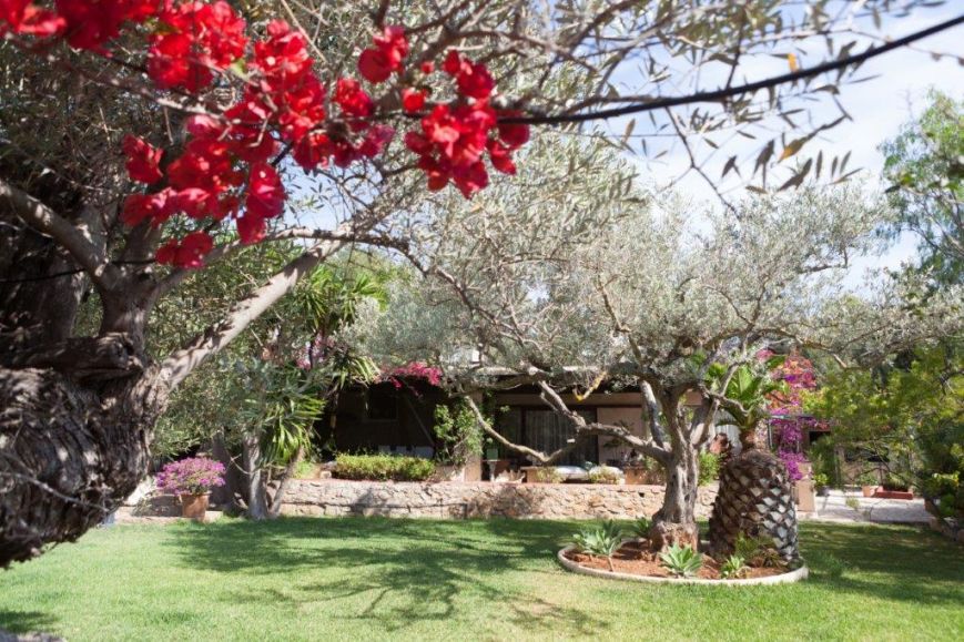 Hotel · Home Featured · Hotel Rural Ca's Pla Ibiza